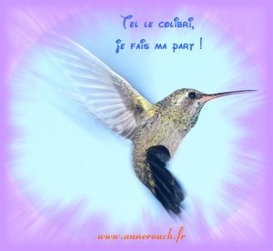 logo3 site anne
